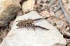 342840 – Photo : henri maleysson – France (13)